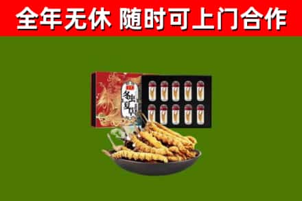 南京市回收冬虫夏草价格